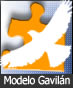 Modelo Gavilán: Bitácora de Evaluación (DOC)